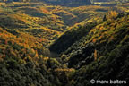 cevennes, automne, 2025,